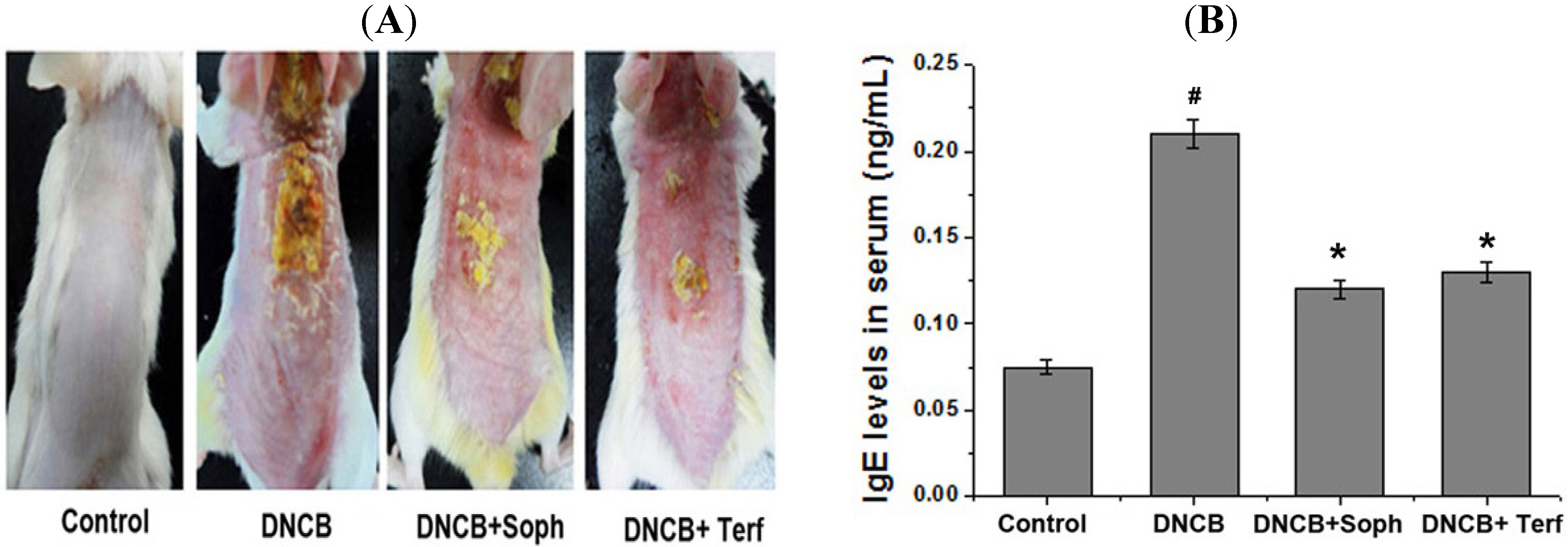Molecules 18 06113 g003