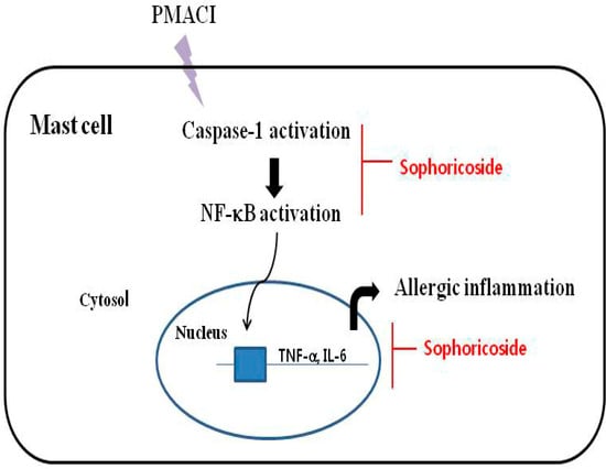Molecules 18 06113 g008 550