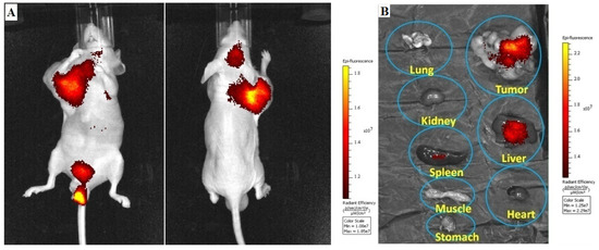 Molecules 18 06425 g007 550