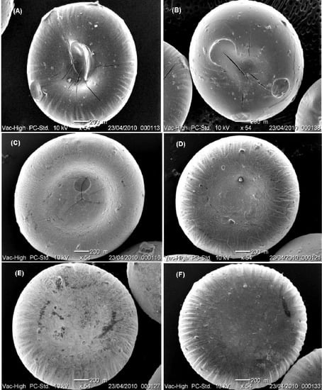 Molecules 18 06504 g001 550
