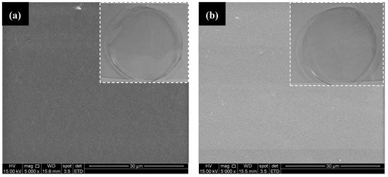 Molecules 18 06550 g007 550