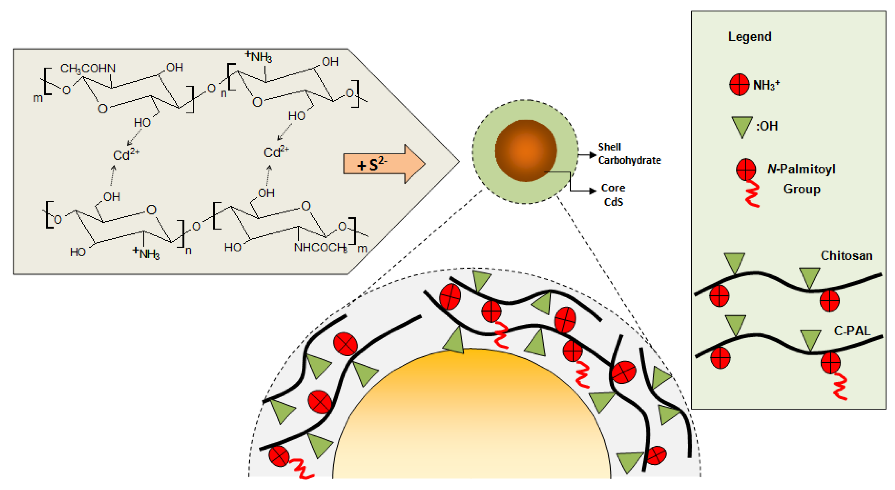 Molecules 18 06550 g009