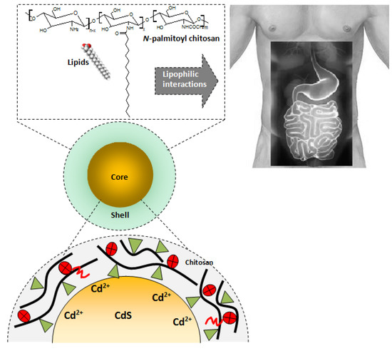 Molecules 18 06550 g012 550