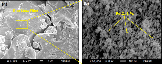 Molecules 18 06597 g004 550