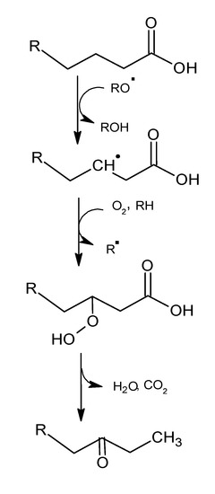 Molecules 18 06748 g006 550