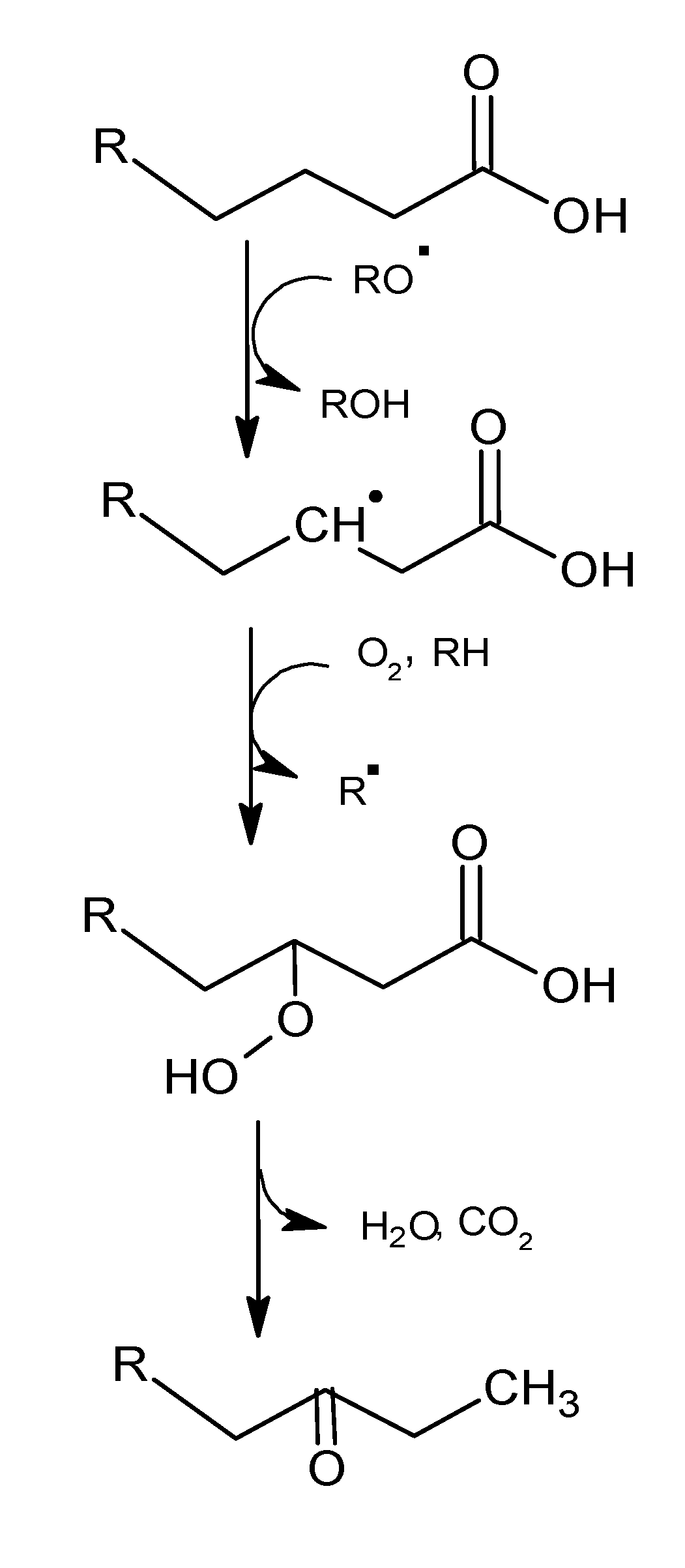 Molecules 18 06748 g006