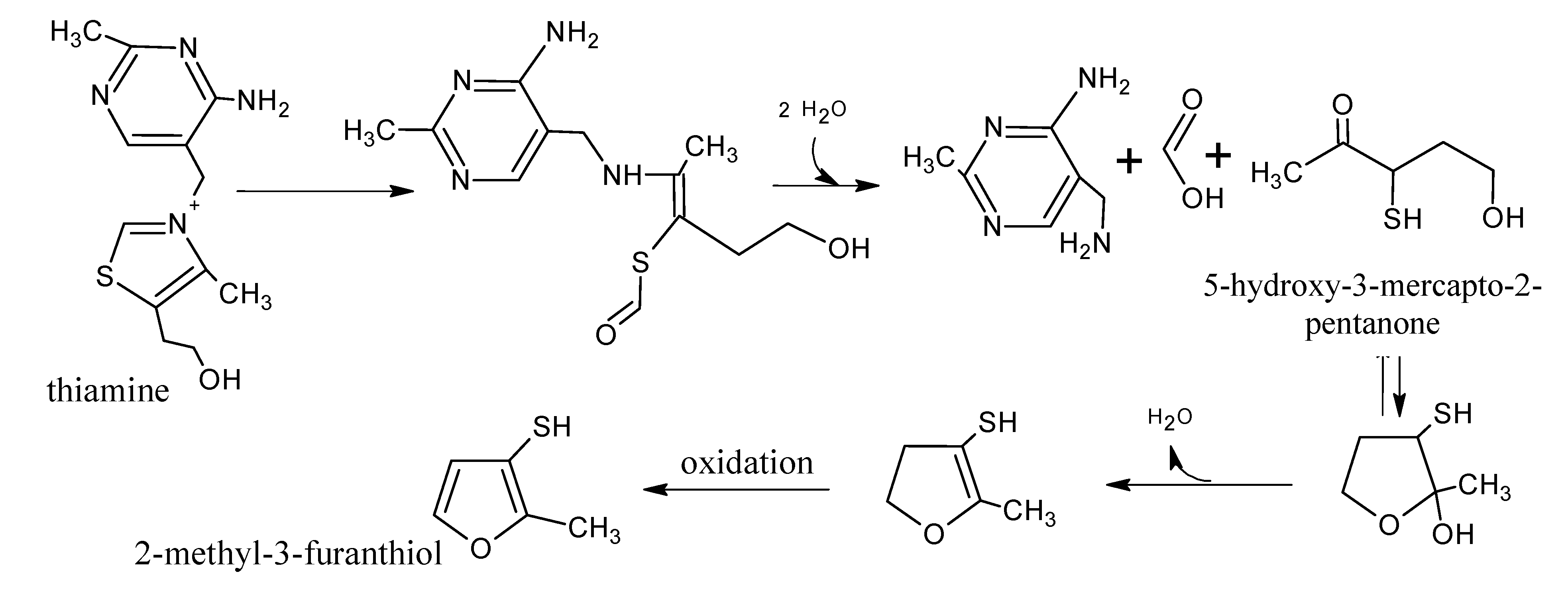 Molecules 18 06748 g007