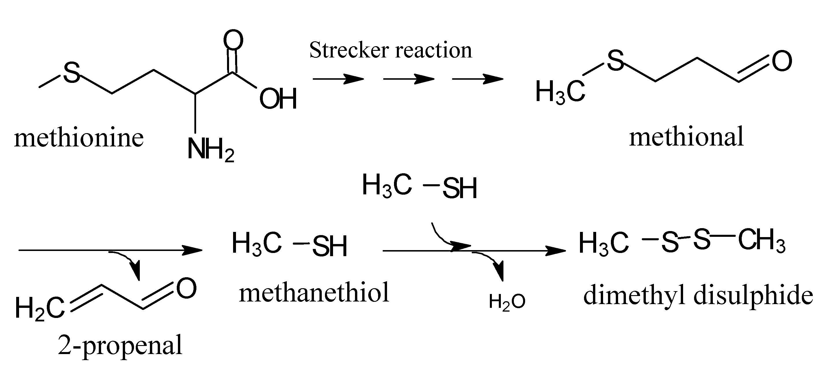 Molecules 18 06748 g010