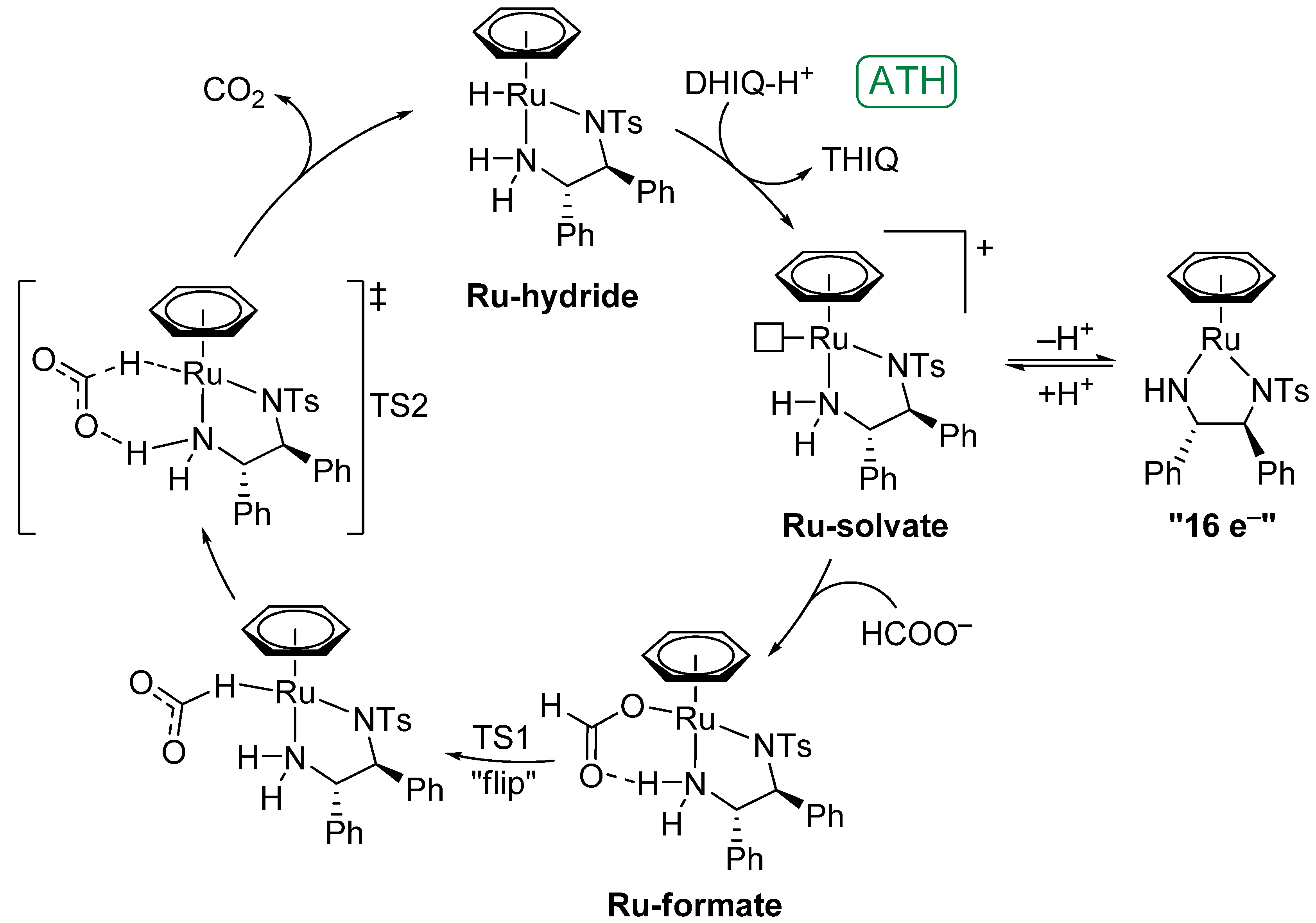 Molecules 18 06804 g011