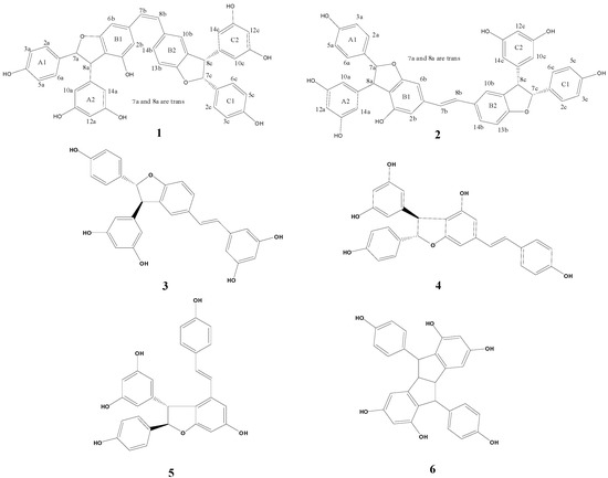 Molecules 18 07093 g001 550