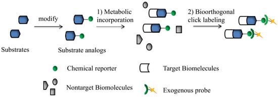 Molecules 18 07145 g001 550