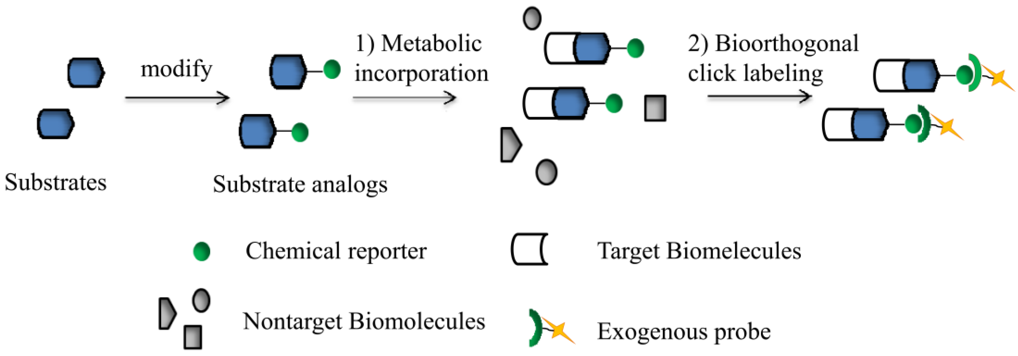 Molecules 18 07145 g001