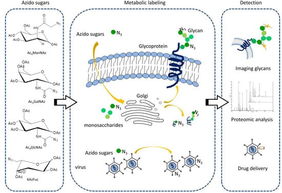 Molecules 18 07145 g003 550