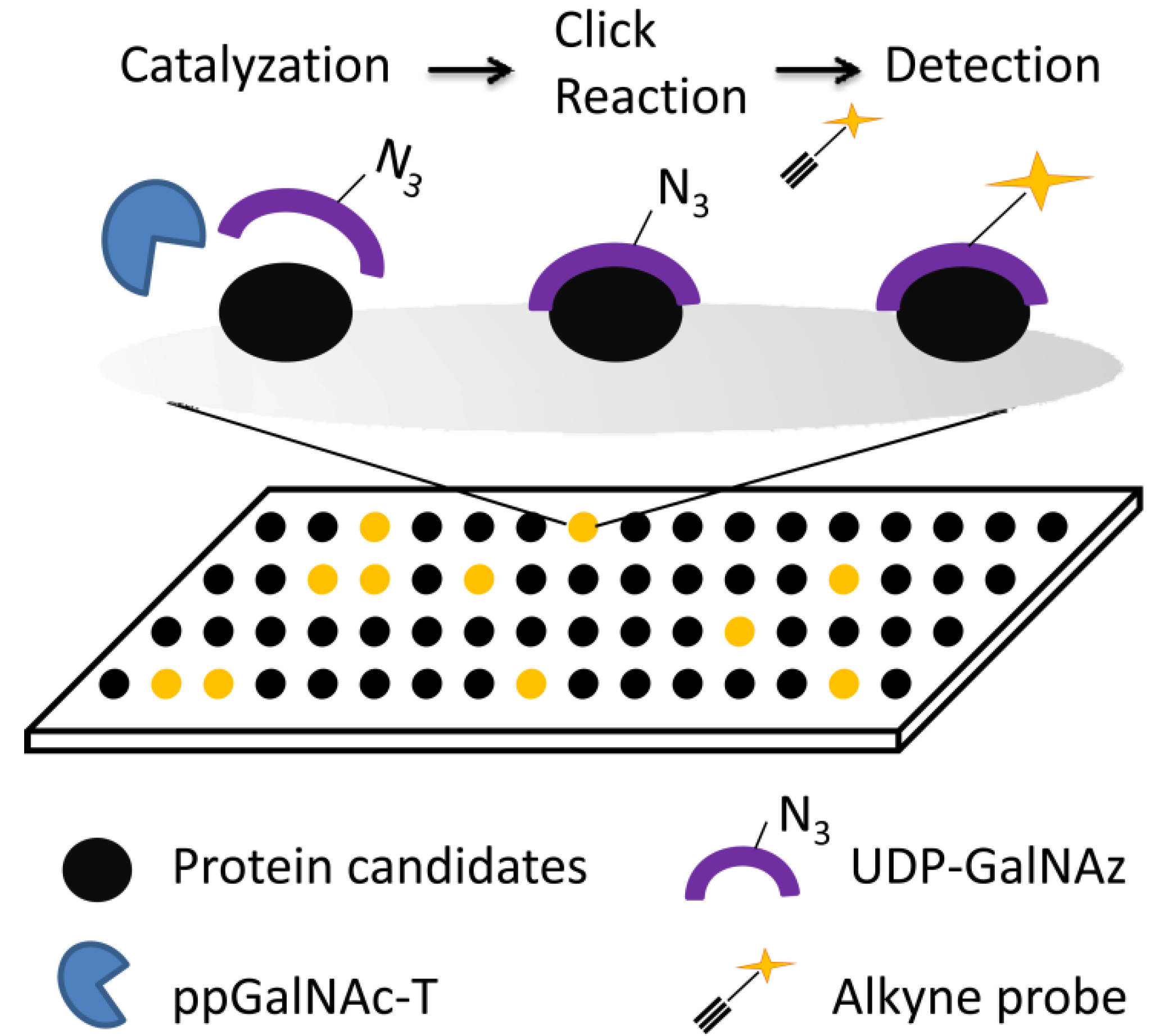 Molecules 18 07145 g006