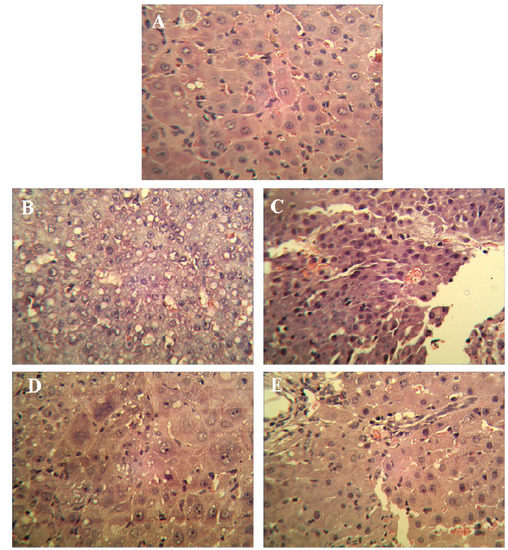 Molecules 18 07179 g001 550