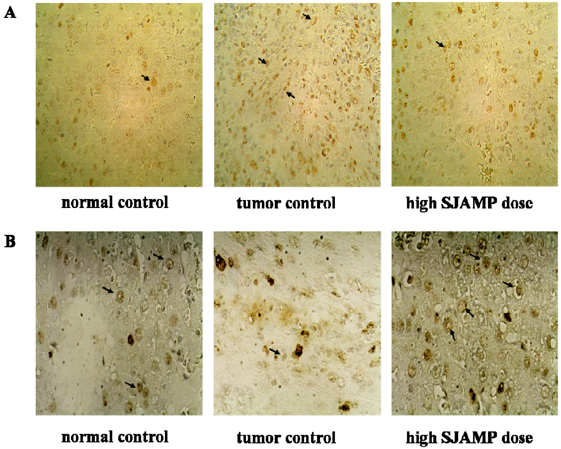 Molecules 18 07179 g003