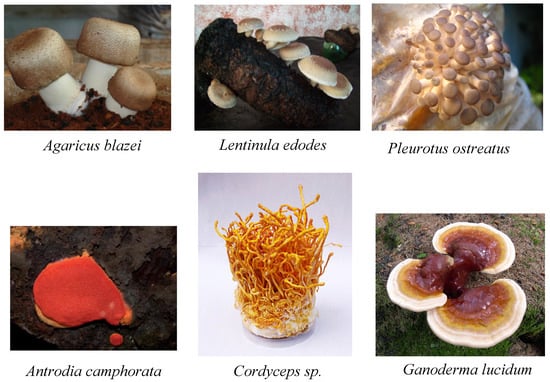 Molecules 18 07609 g002 550