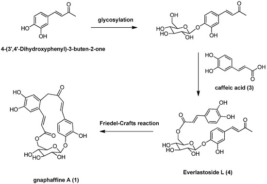 Molecules 18 07751 g003 550