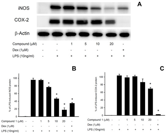 Molecules 18 08160 g003 550
