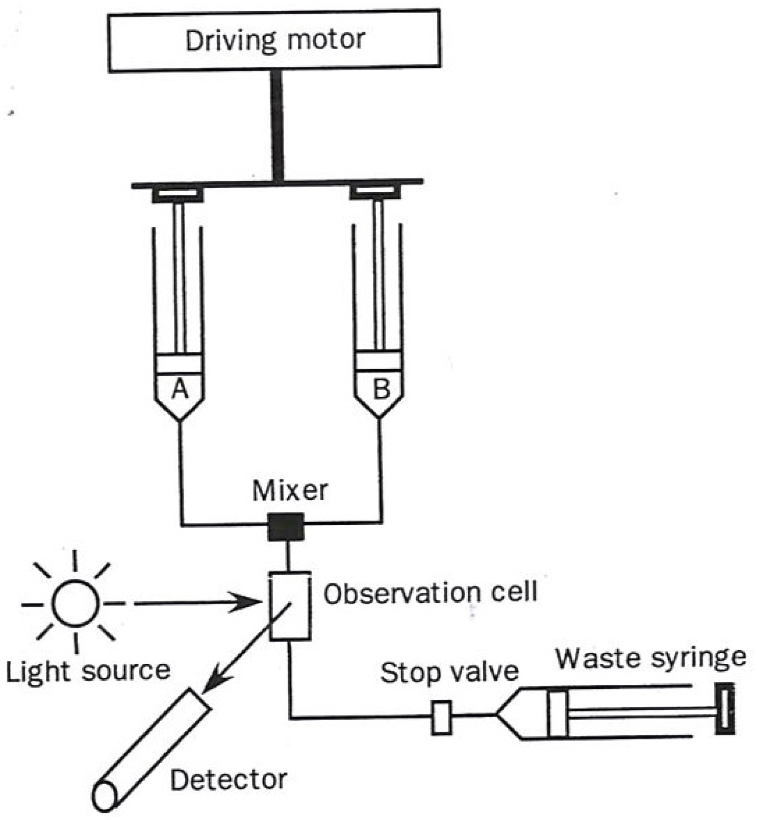 Molecules 18 08230 g001