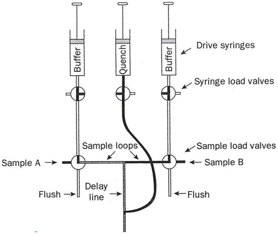 Molecules 18 08230 g002 550