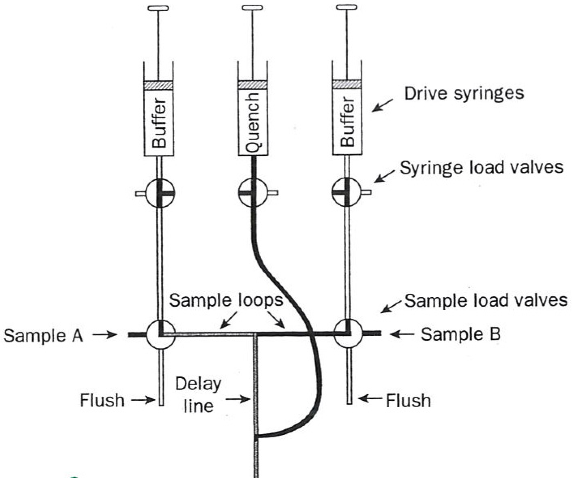 Molecules 18 08230 g002