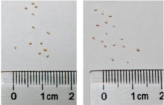 Molecules 18 08289 g001 550