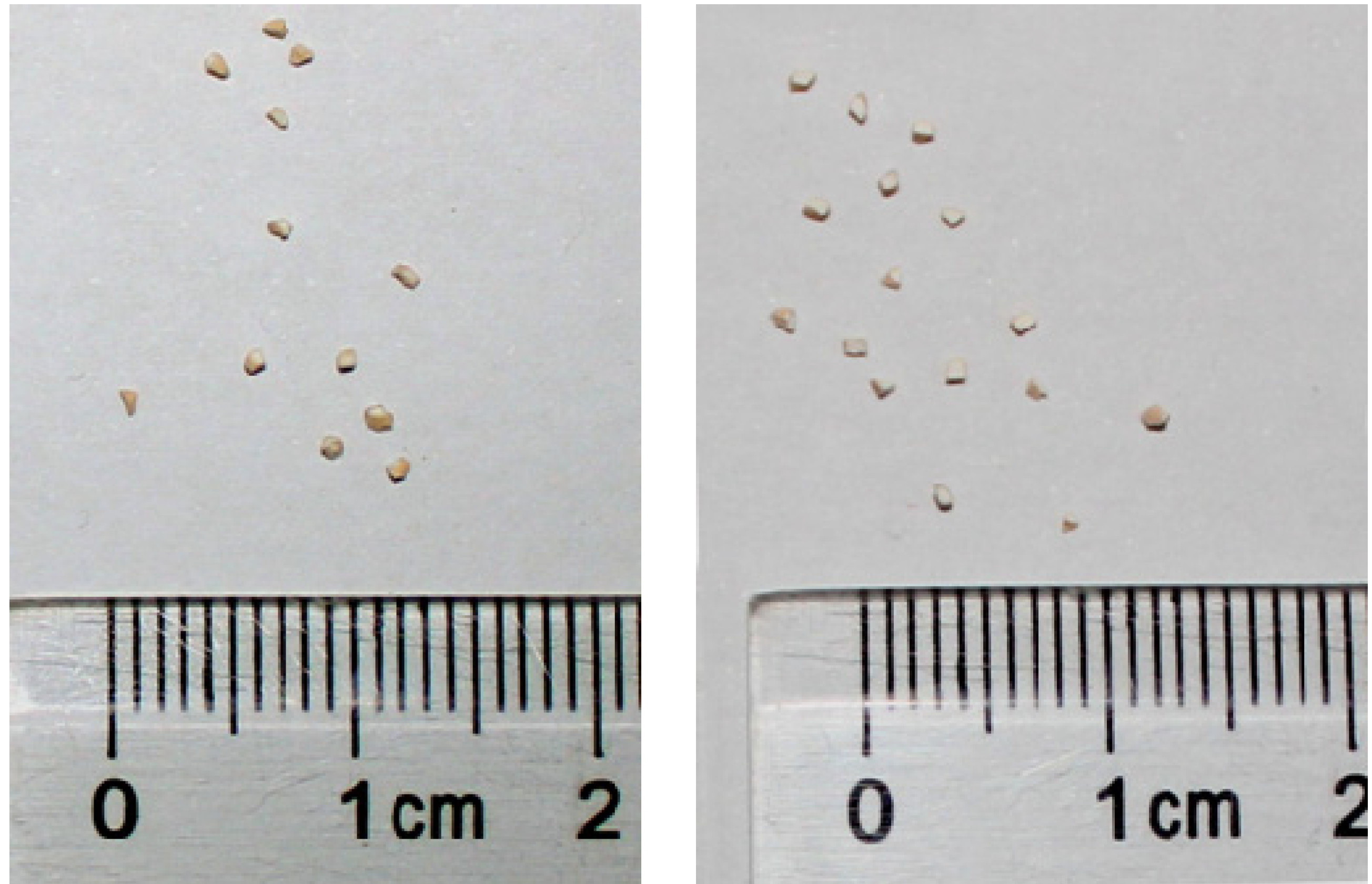 Molecules 18 08289 g001
