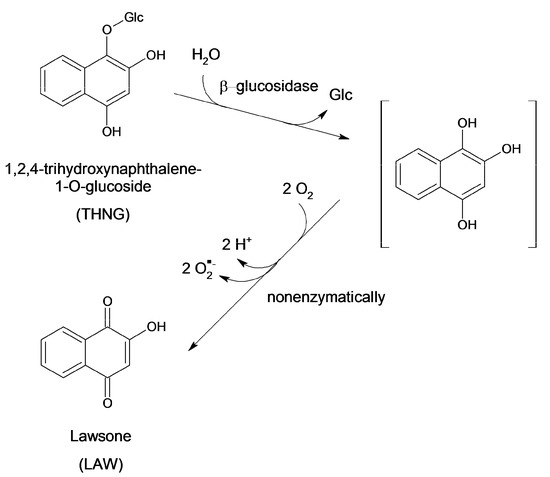 Molecules 18 08429 g007 550