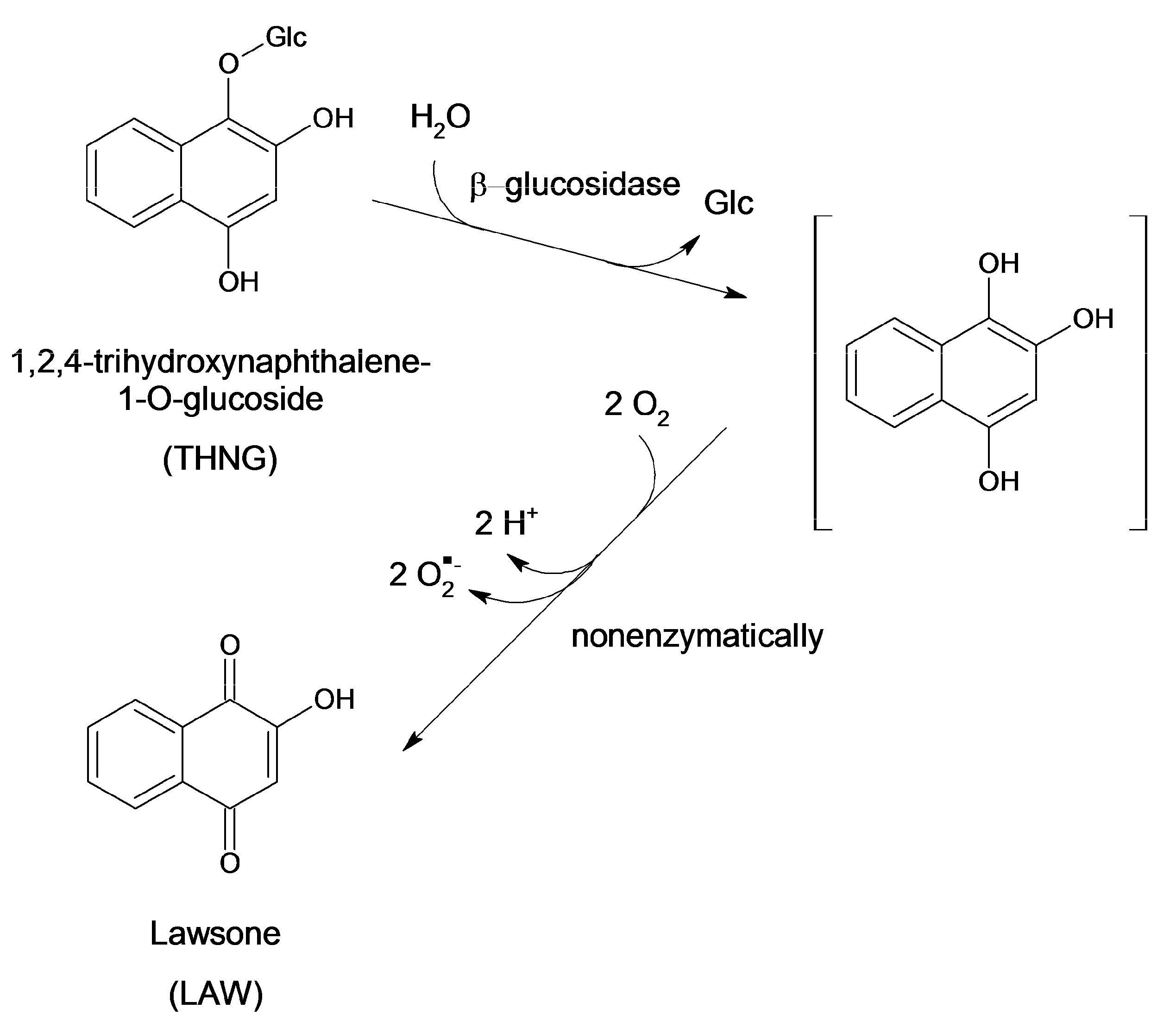 Molecules 18 08429 g007