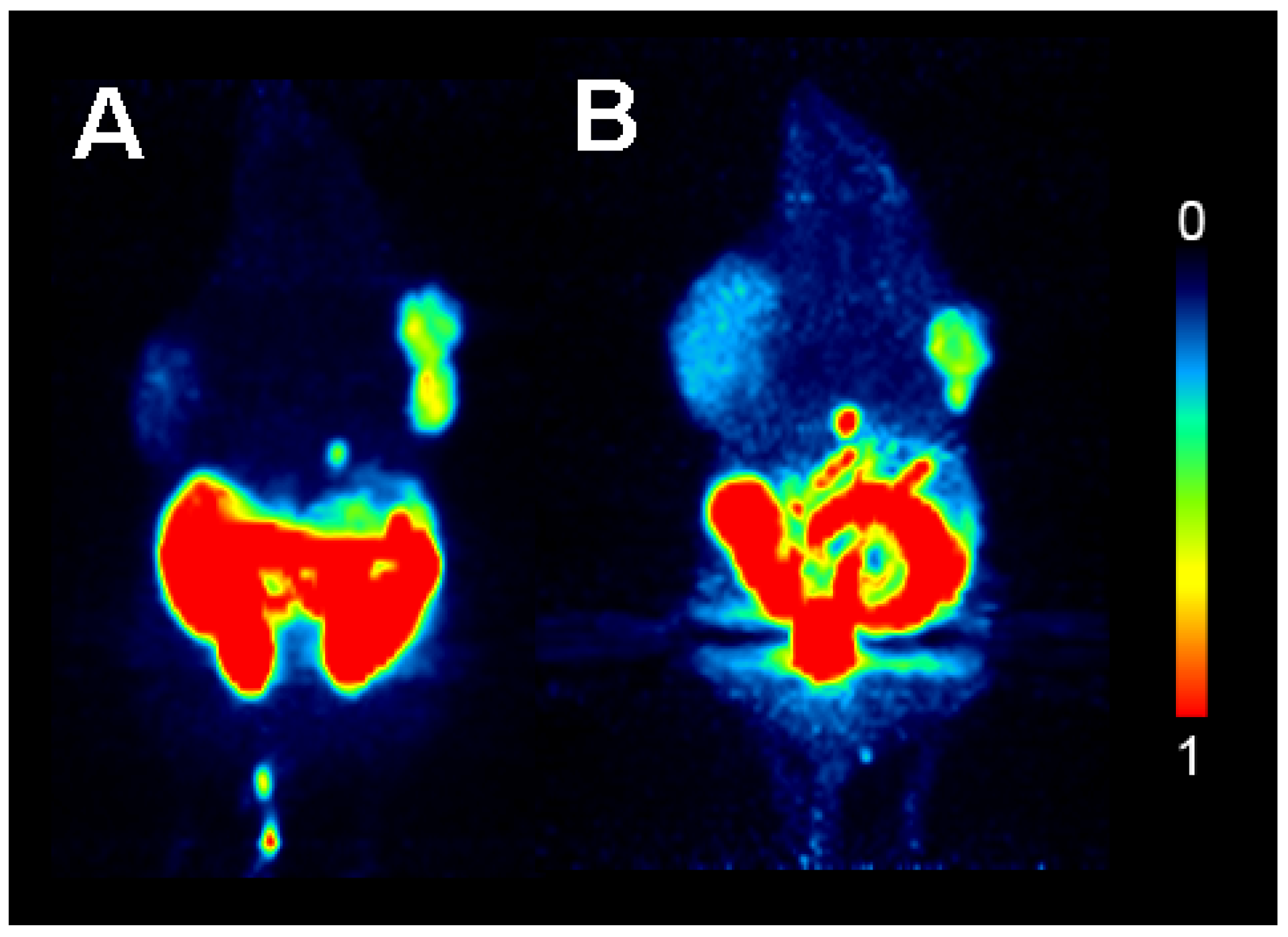 Molecules 18 08535 g003