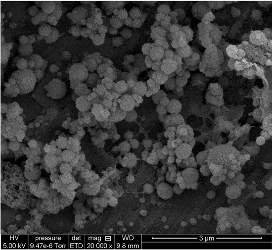 Molecules 18 08563 g005 550
