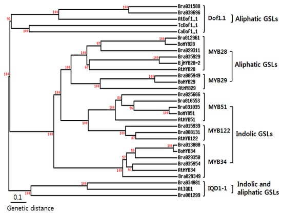 Molecules 18 08682 g002 550