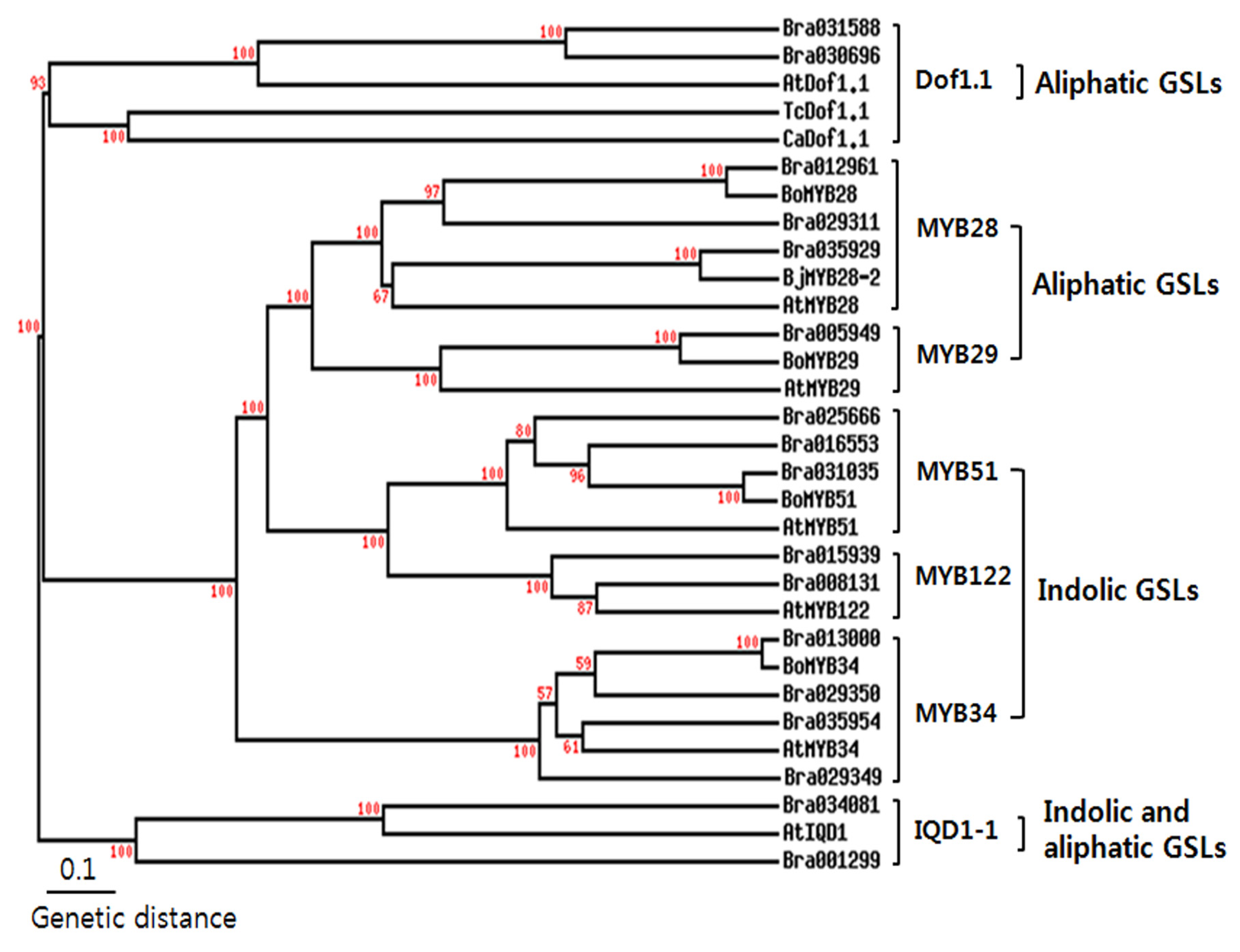 Molecules 18 08682 g002