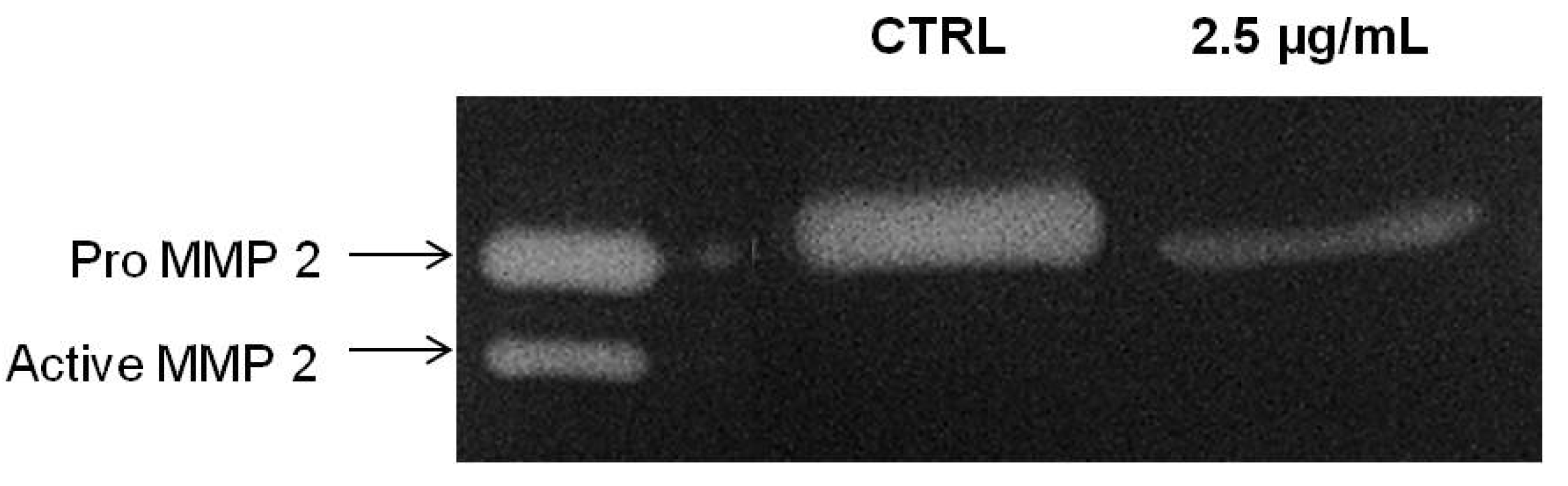 Molecules 18 08764 g007