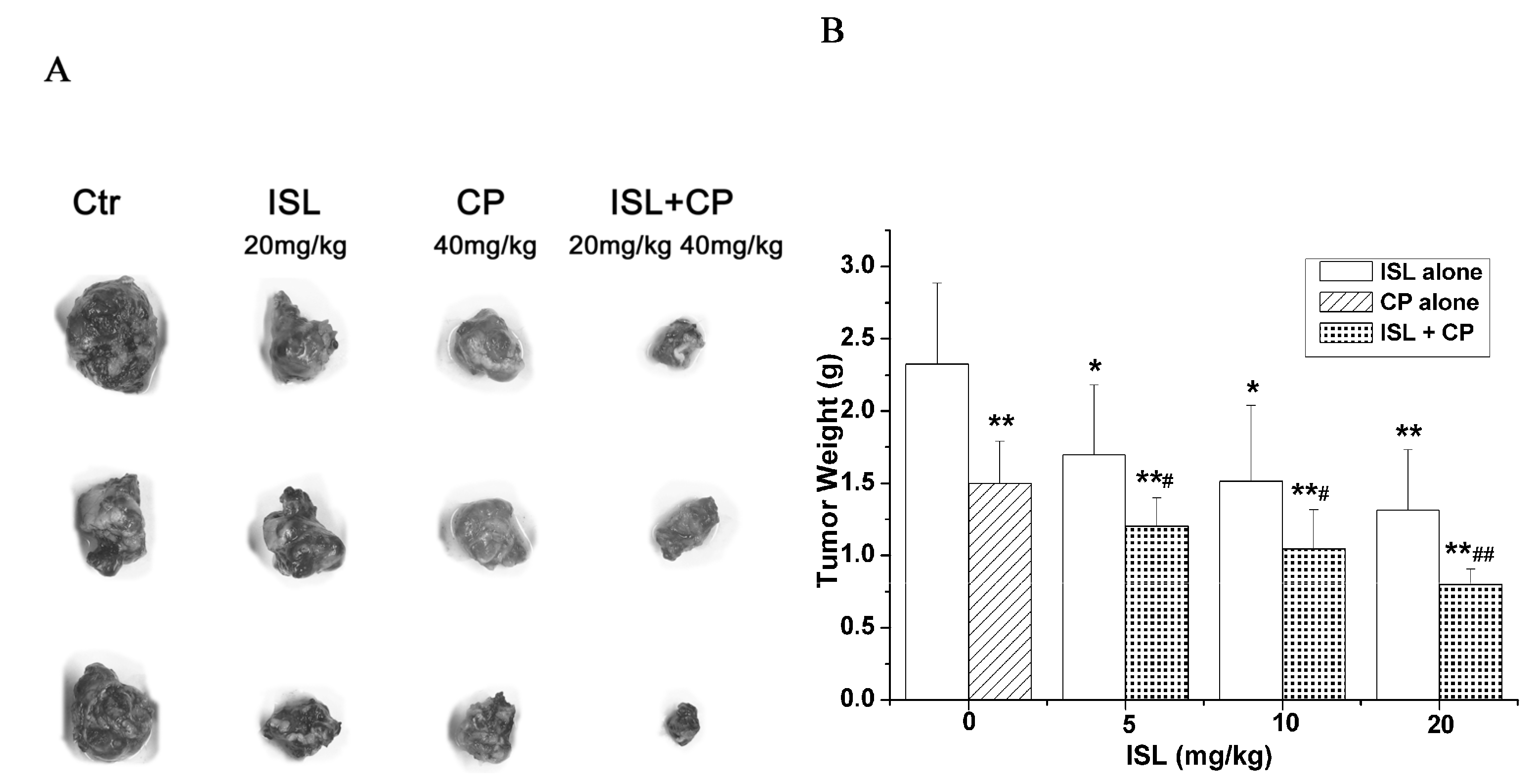 Molecules 18 08786 g004