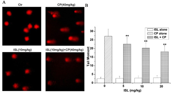 Molecules 18 08786 g006 550