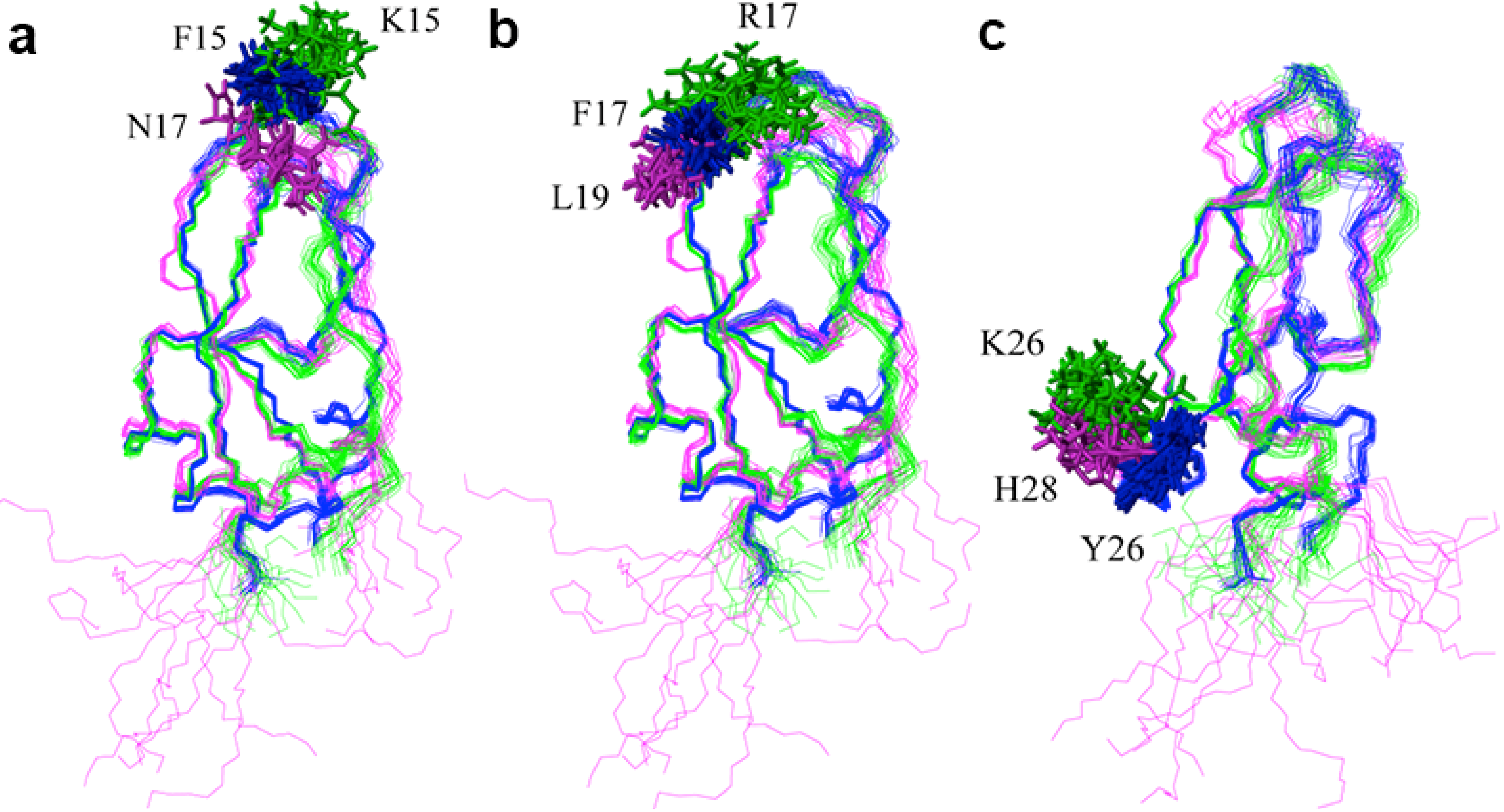 Molecules 18 08906 g005