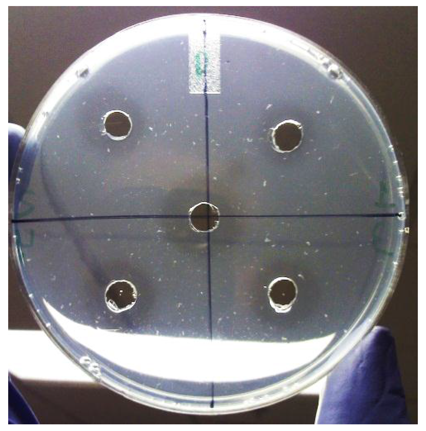 Molecules 18 08945 g004