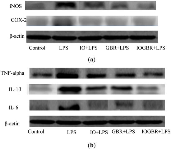 Molecules 18 09293 g004 550