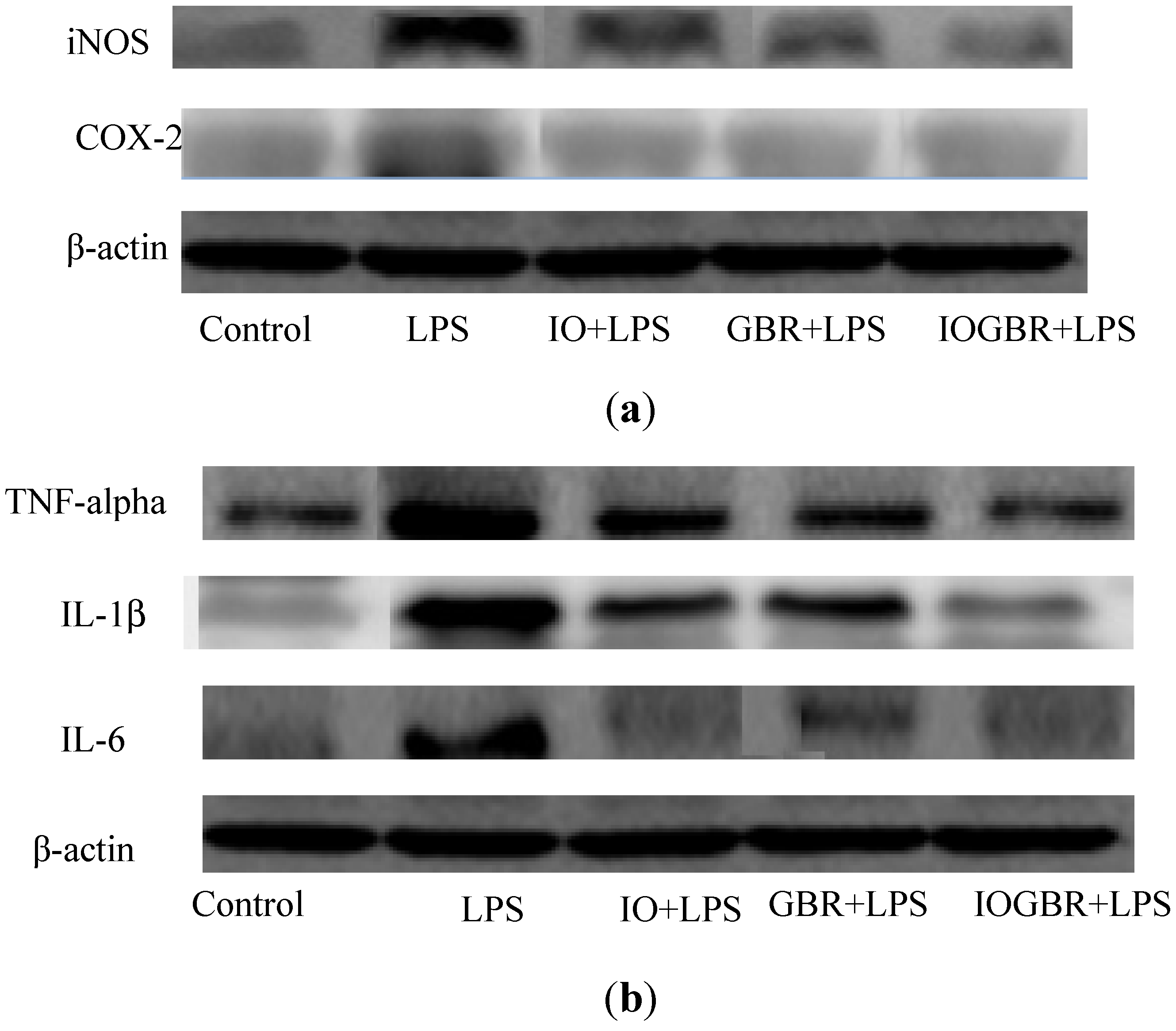 Molecules 18 09293 g004
