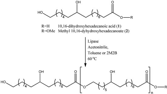 Molecules 18 09317 g007 550