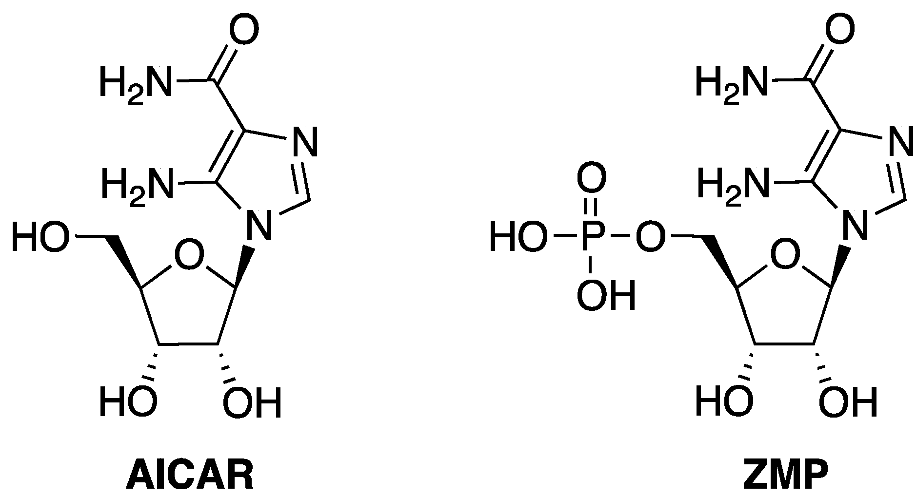 Molecules 18 09420 g001