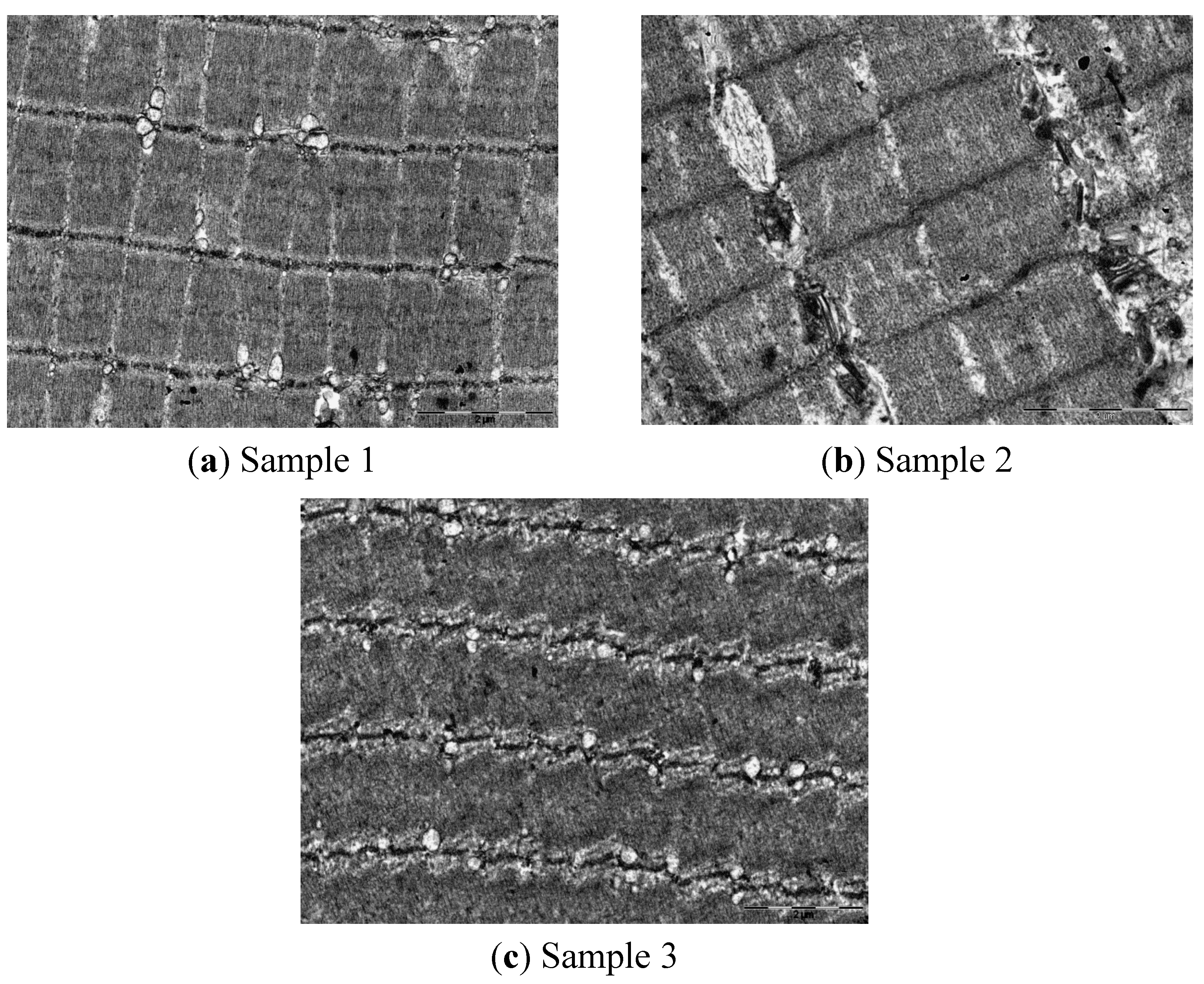 Molecules 18 09432 g001