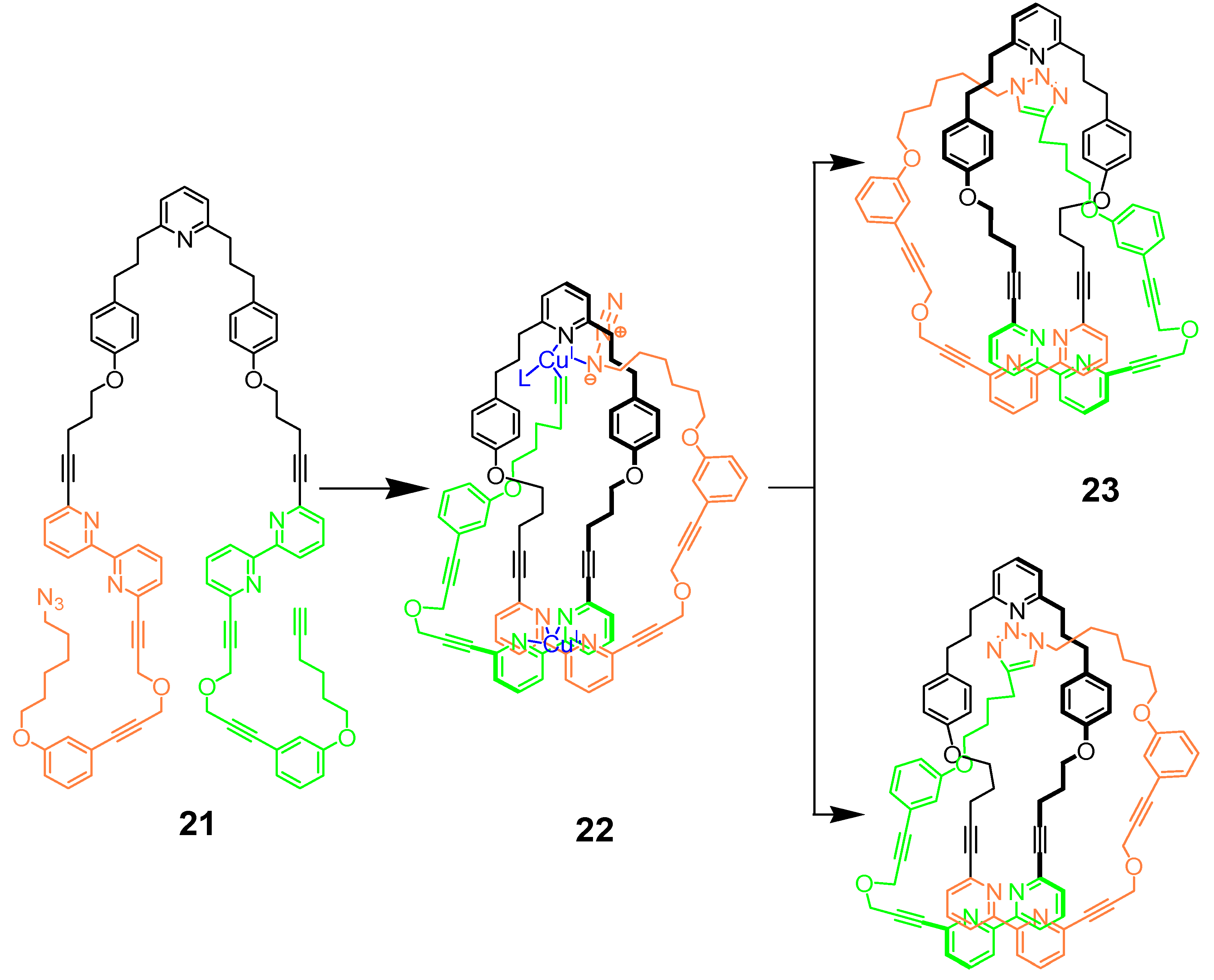 Molecules 18 09512 g009
