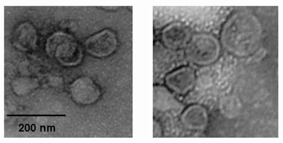 Molecules 18 09550 g004 550