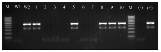 Molecules 18 09623 g002 550