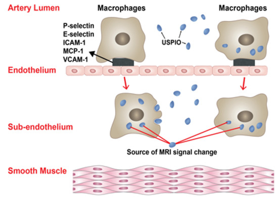 Molecules 18 09670 g001 550