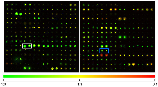 Molecules 18 09999 g001 550