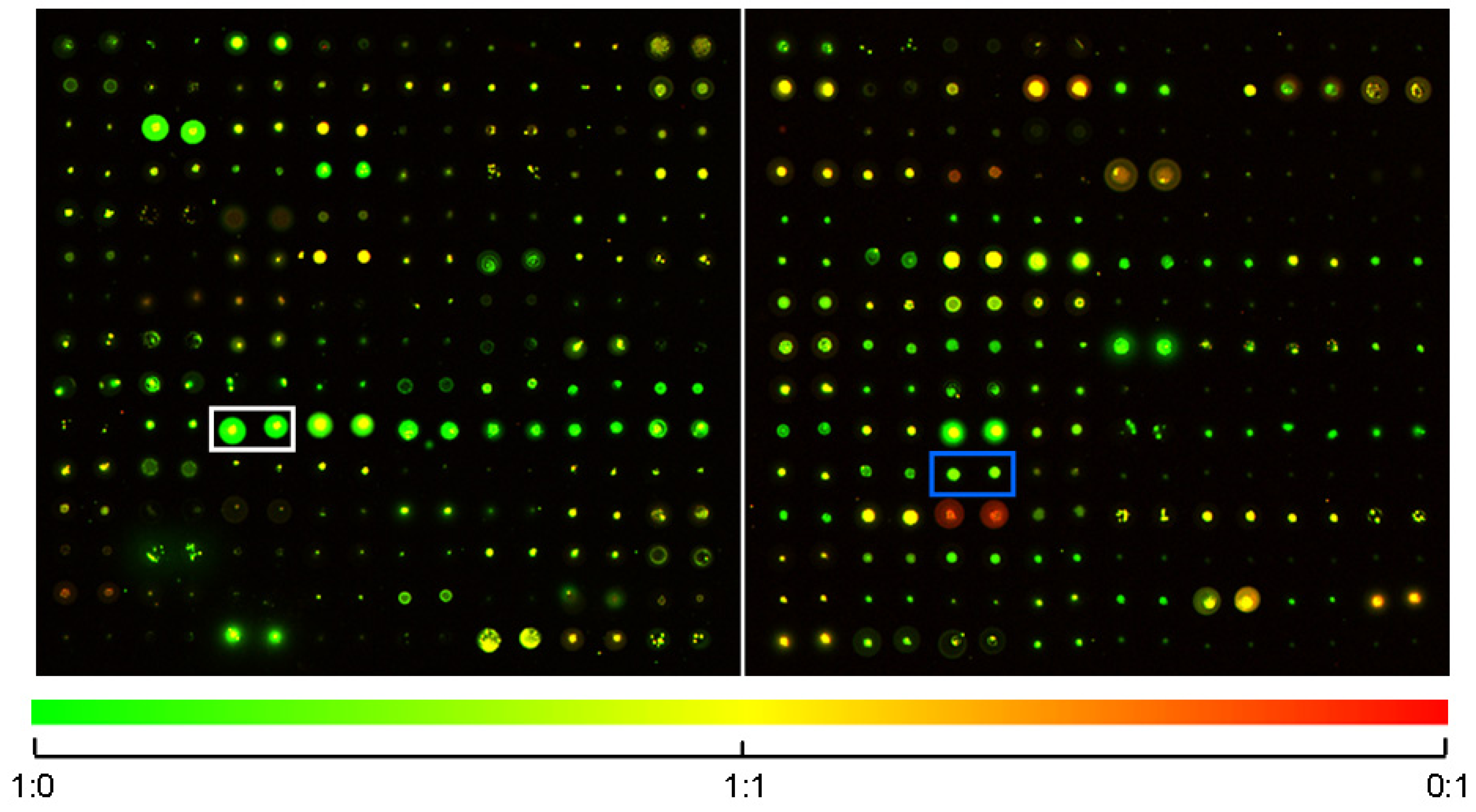 Molecules 18 09999 g001